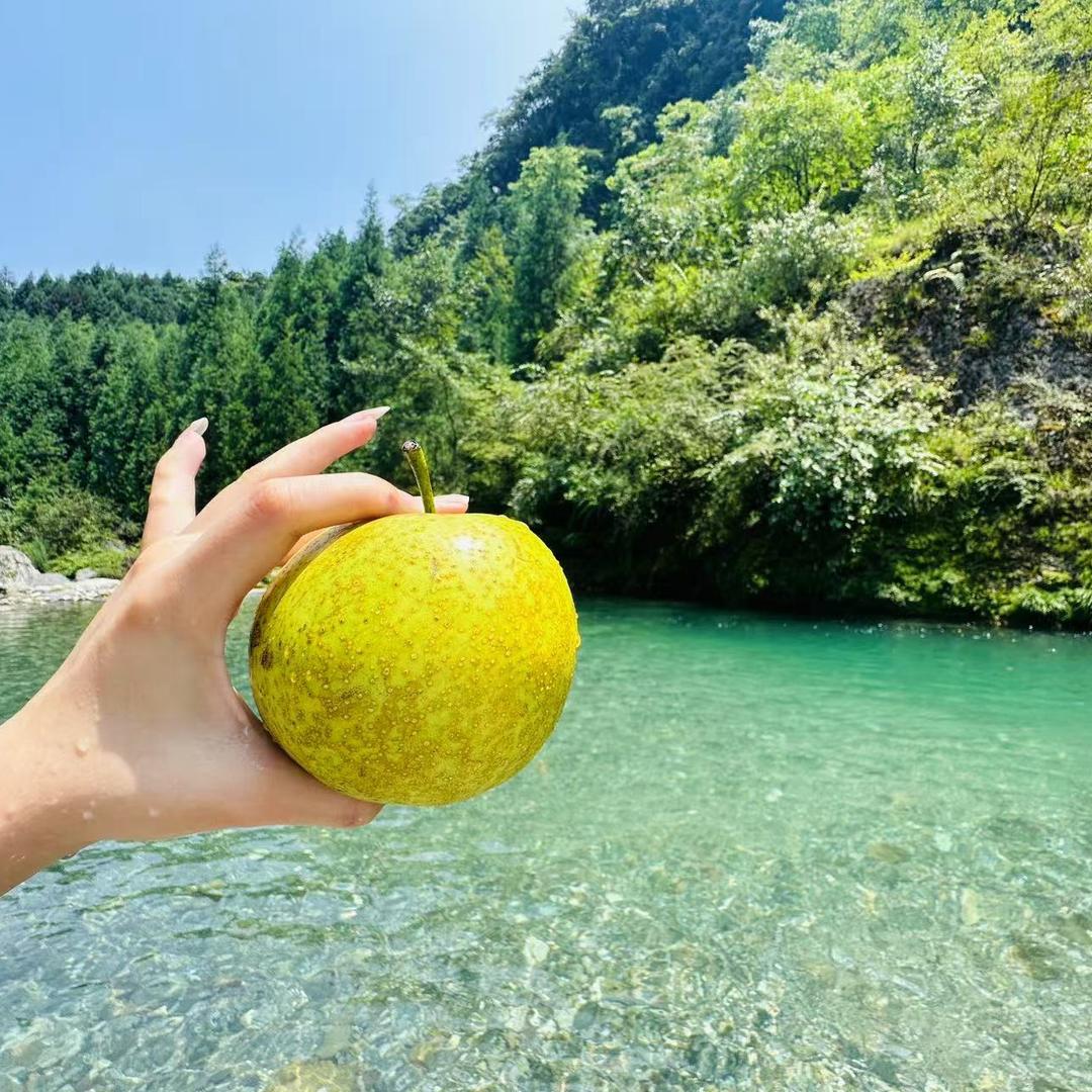 沐霖