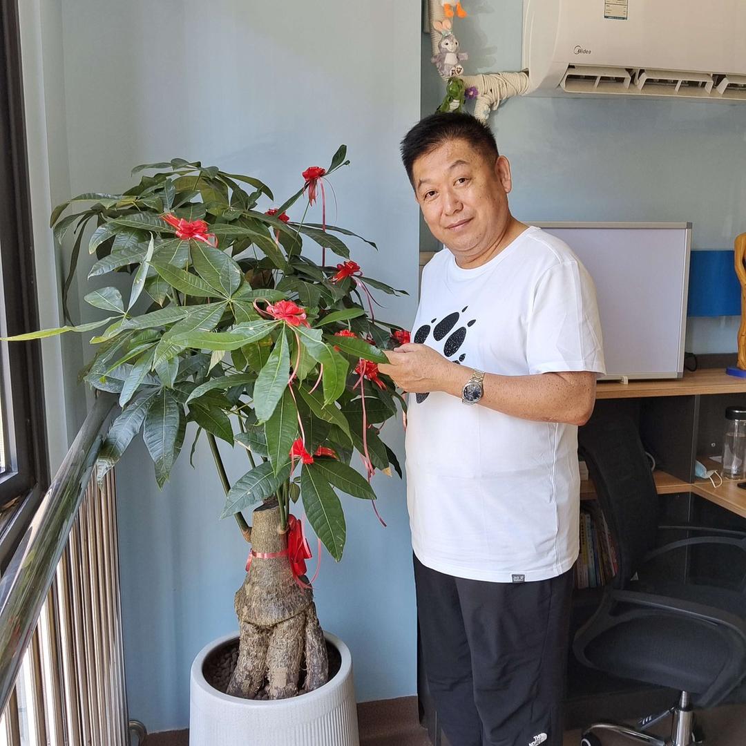 刘院专注咨询部