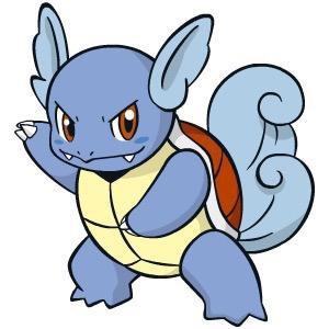 卡咪龟🐢