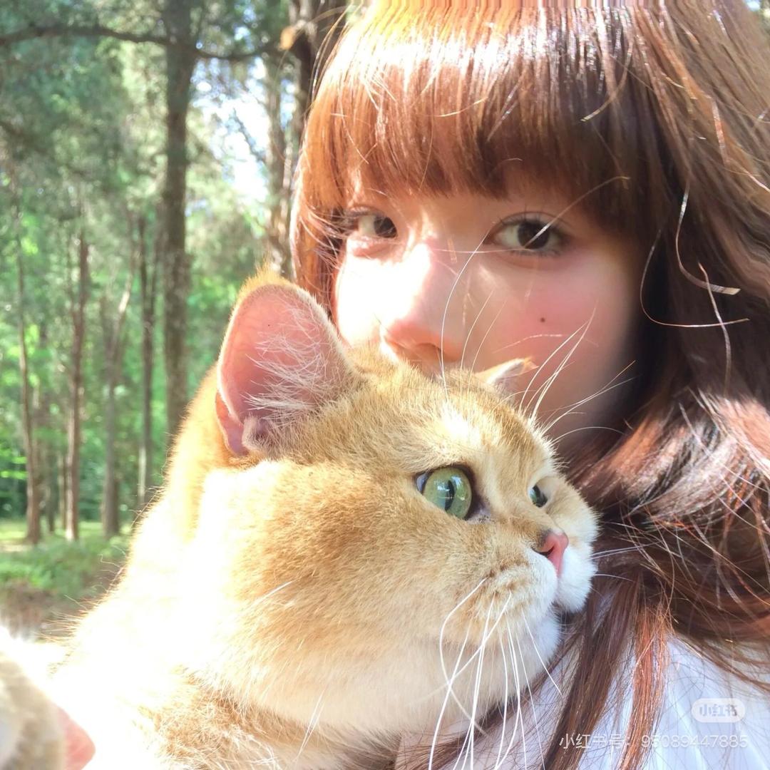 豆豆🐱
