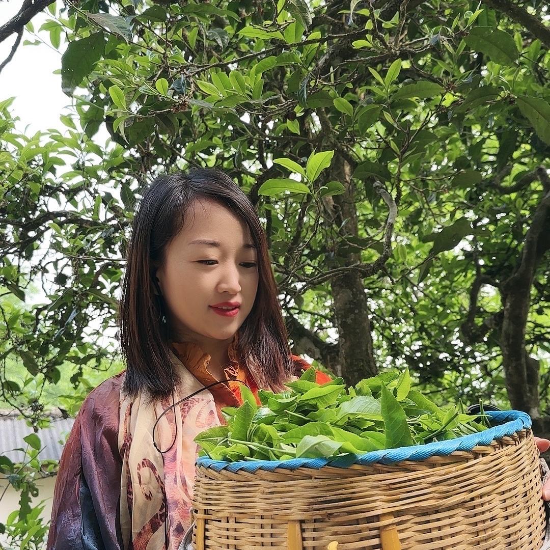 圆鑫