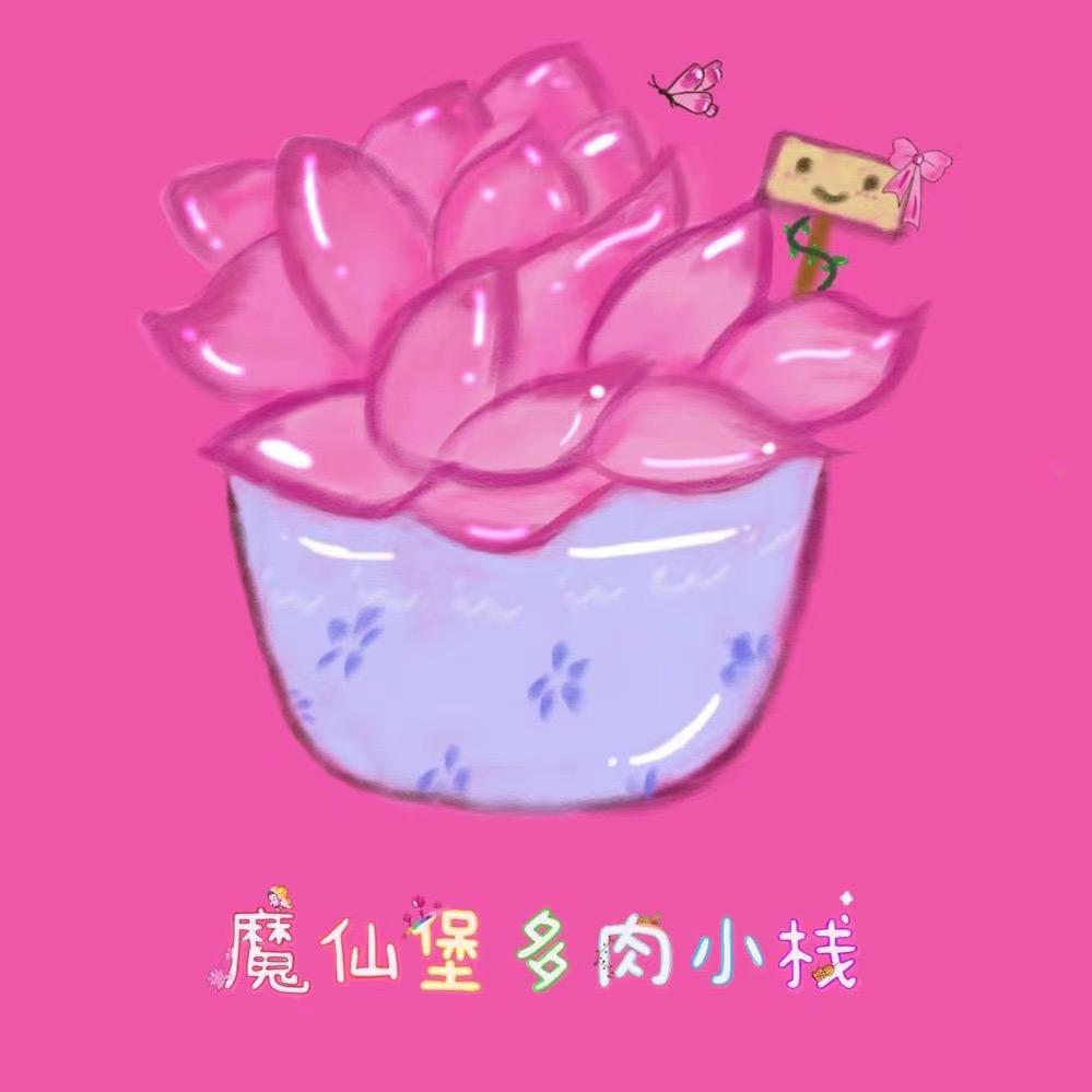 魔仙堡多肉小栈