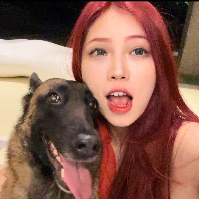 🌕宫廷莫恩🐾