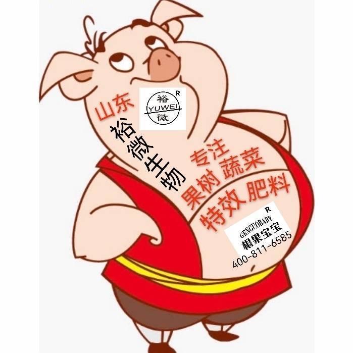 宋九泉