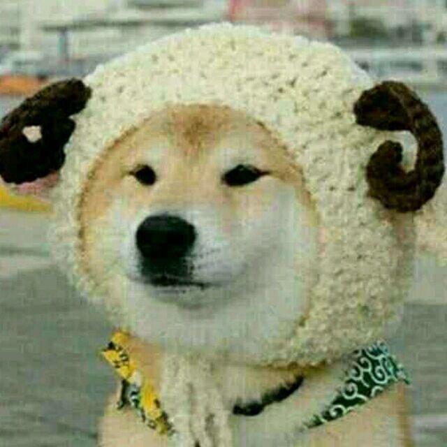 韩一宁