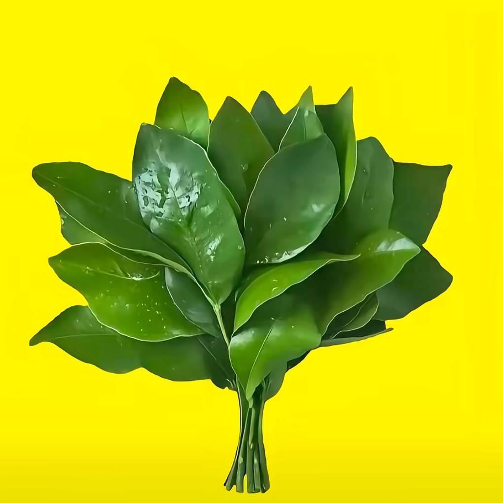 小明鲜果🍊