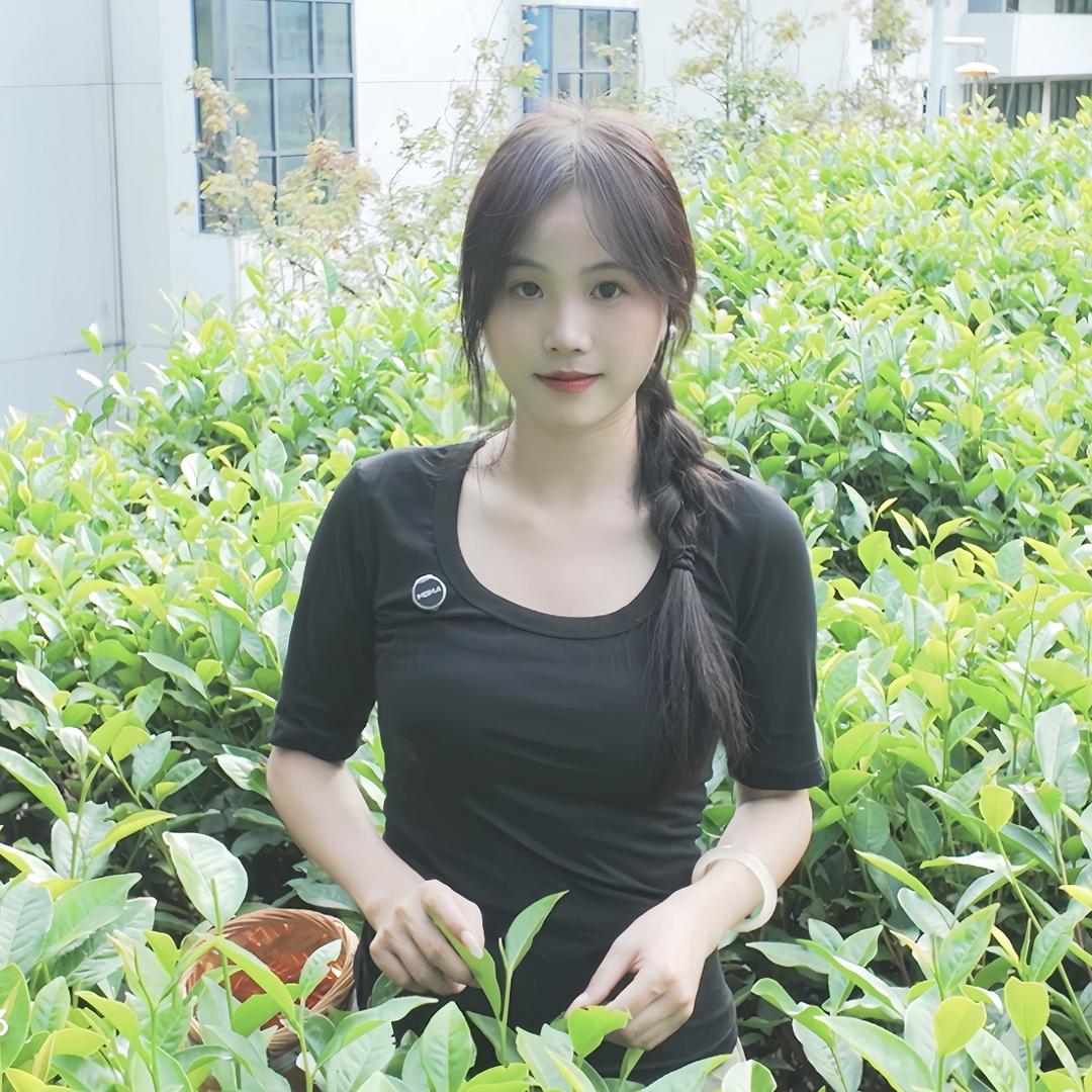 寻茶迹
