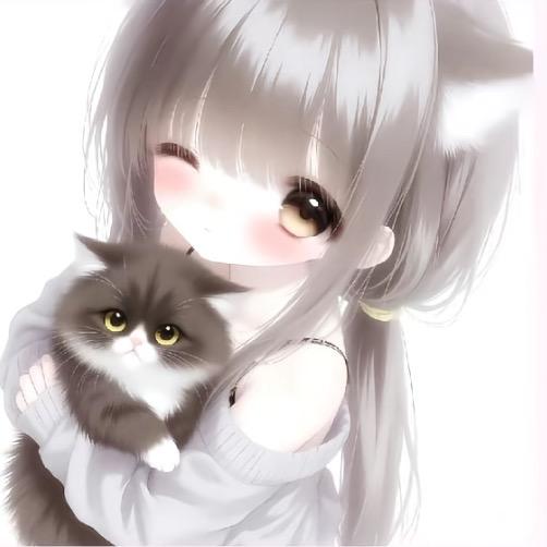 小橙z