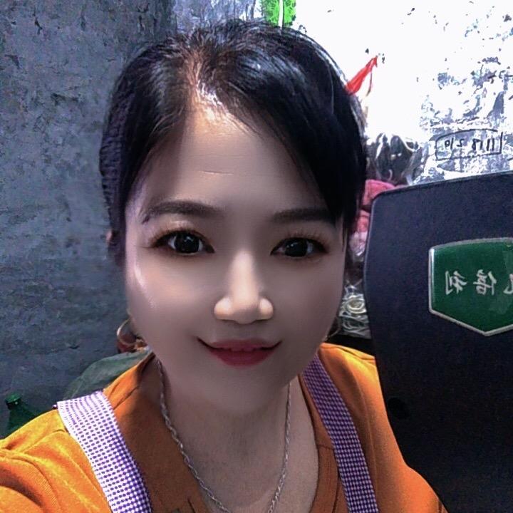 河南杨姐