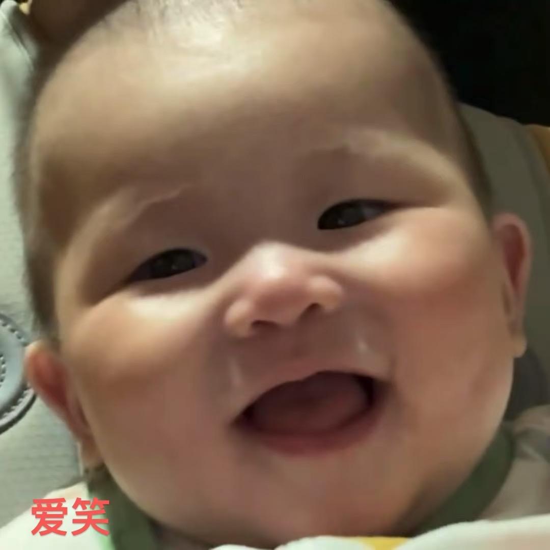 小高不吃香菜