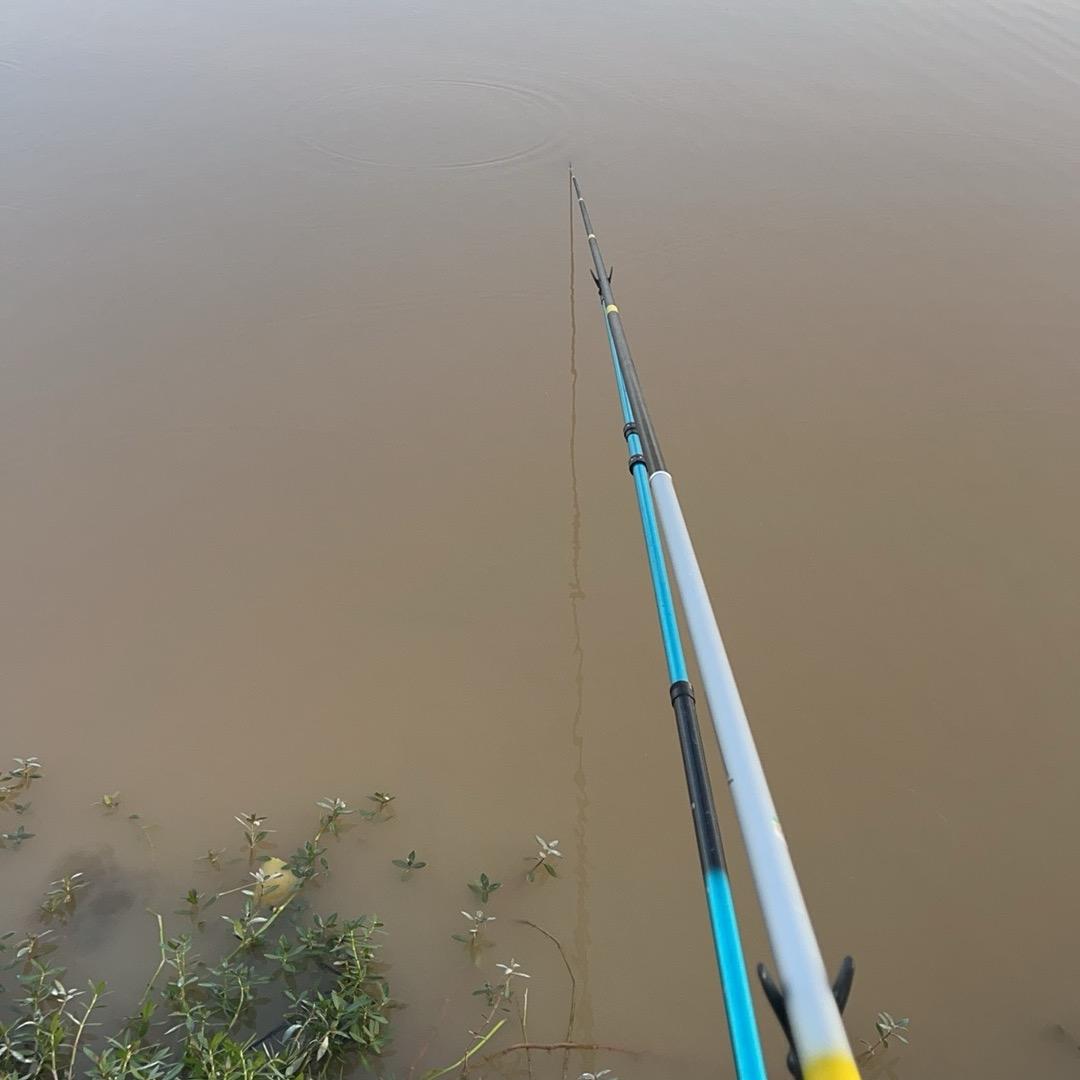 野钓🎣大头
