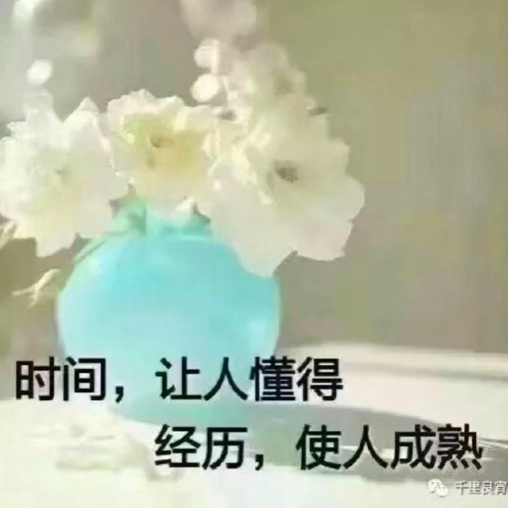 元宝 宝