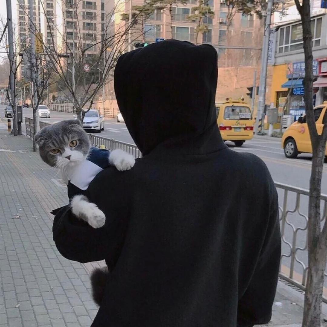 开零跑的奶爸👨‍🍼