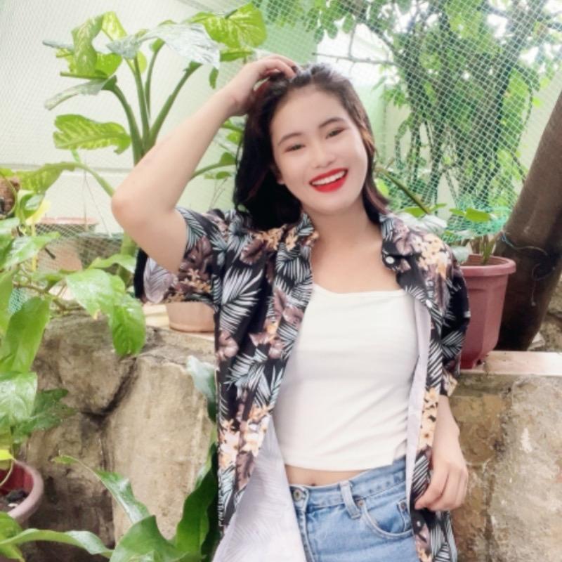 笨笨小飞象