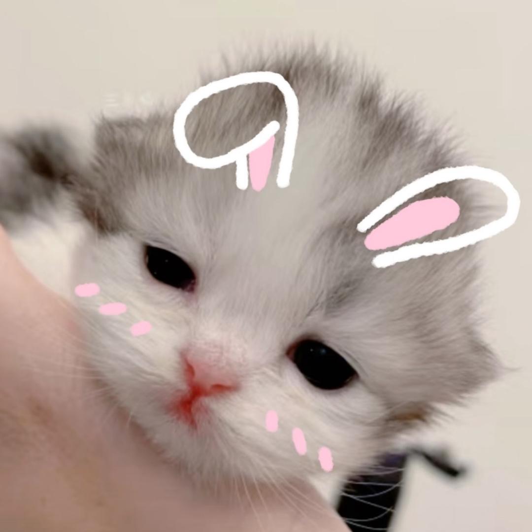 喬小北.