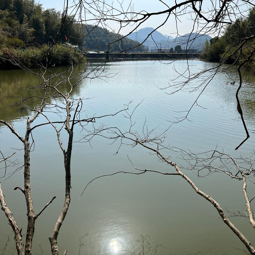 森林钓鱼户外