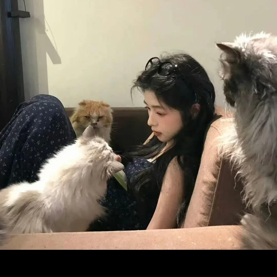 小小贝.