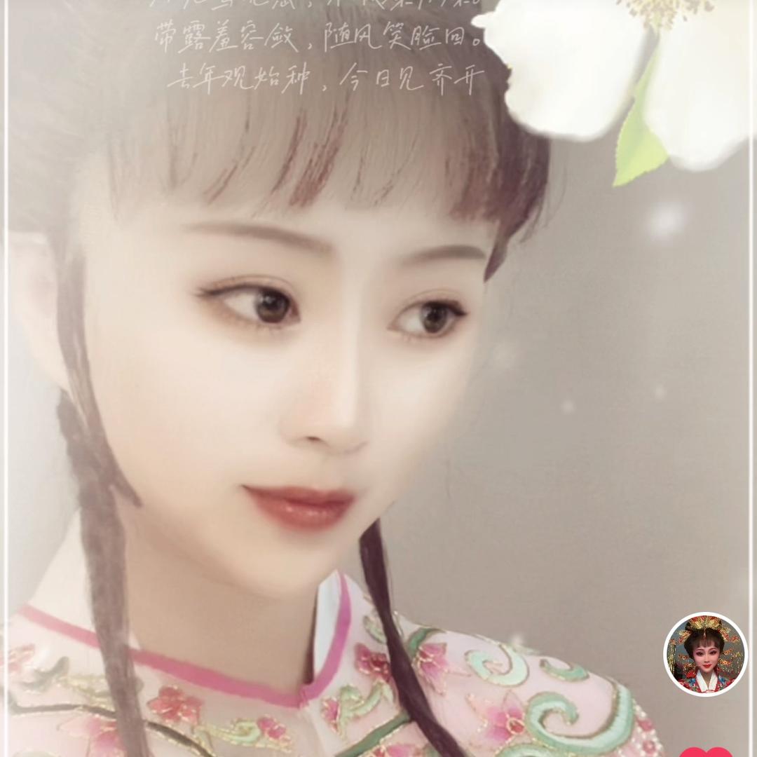 越剧珠珠