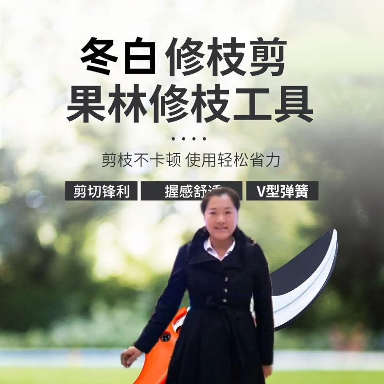 冬白专业园林农用工具每天晚上7开播