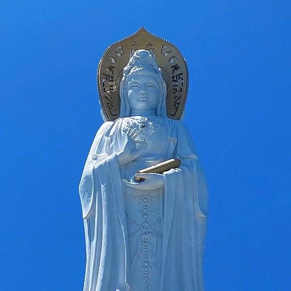王胖胖一直在