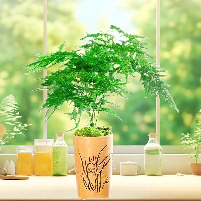 森森