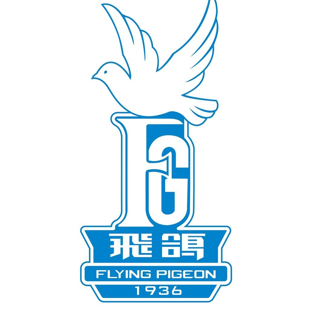 飞鸽天宁自行车专卖店