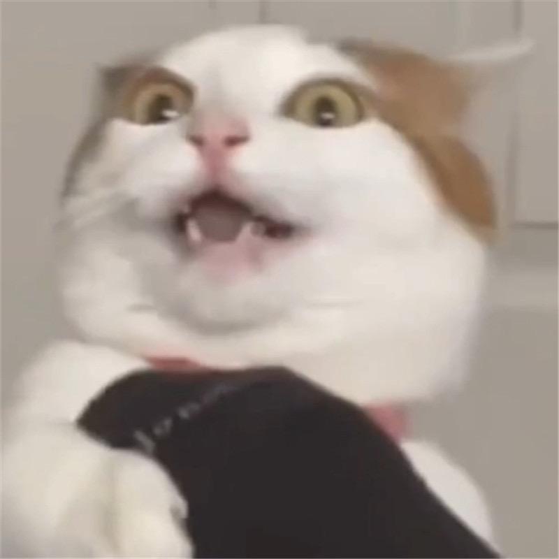 包子的快乐