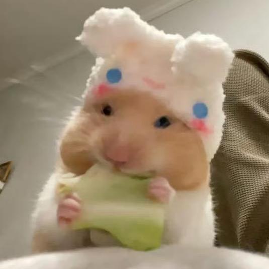 谷汁