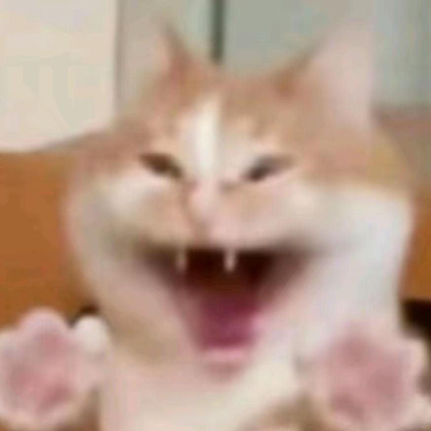 阳光猫草