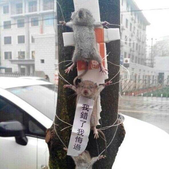 大叔