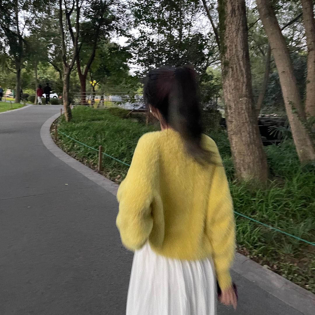 凤梨公主