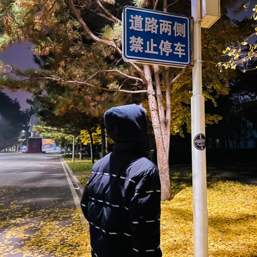 金陽陽