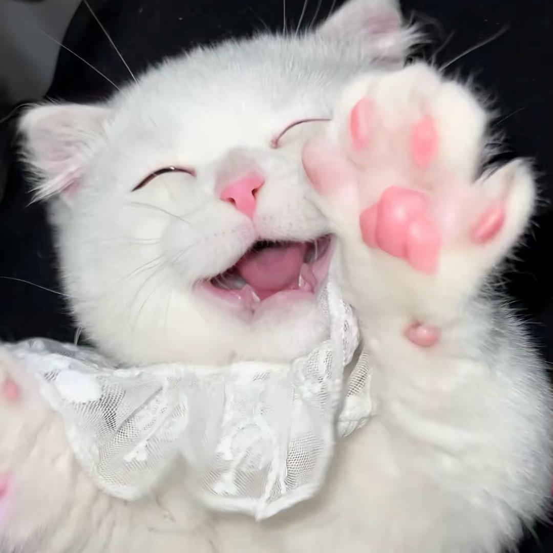 口口