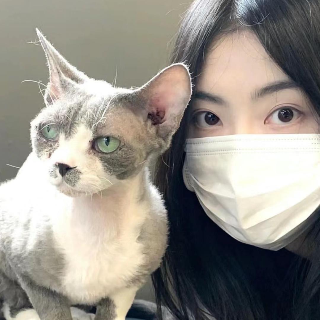 KiKi