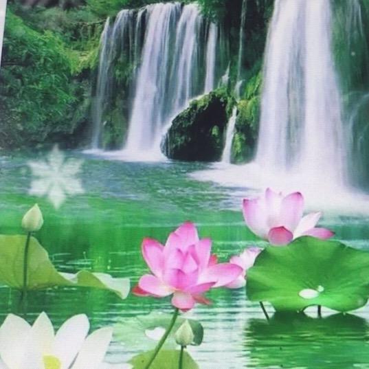 好运锦棉