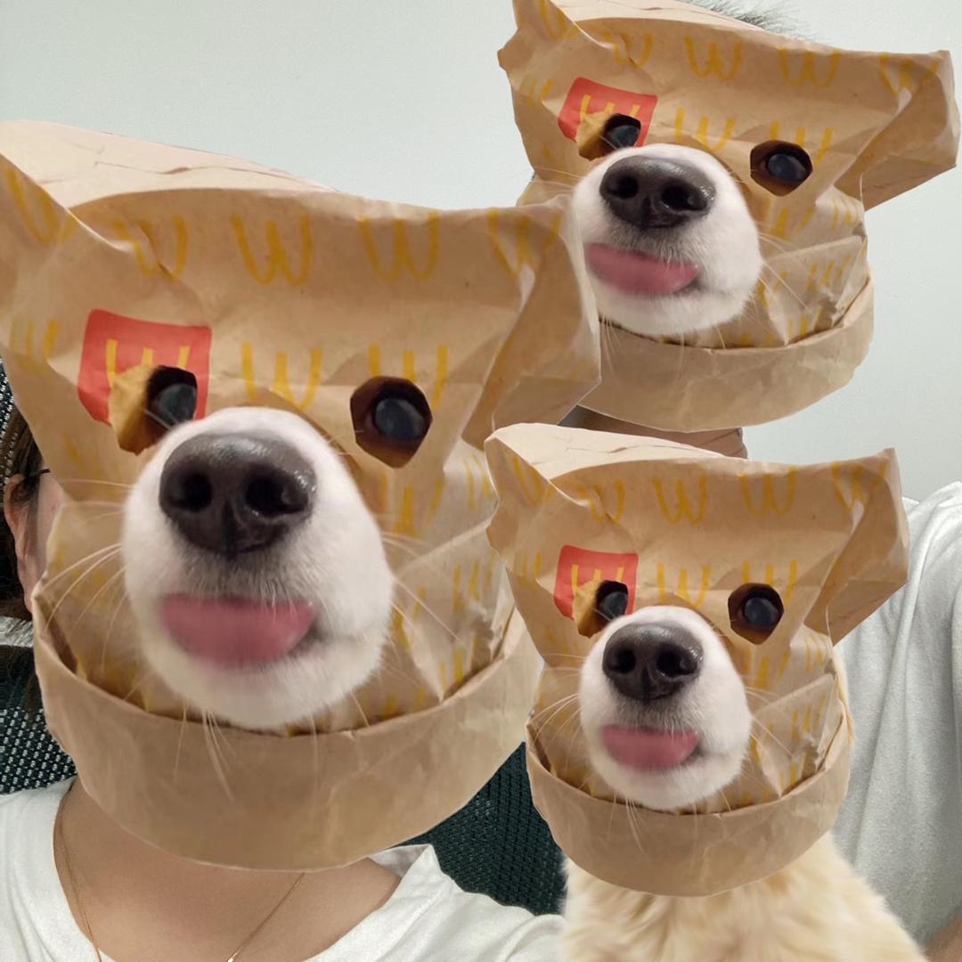 橙仔