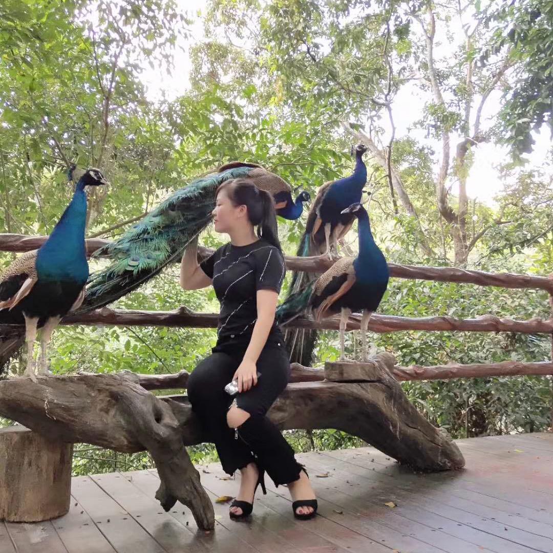 💋小敏敏