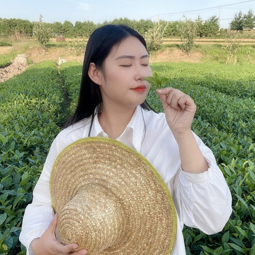 小芳日照绿茶