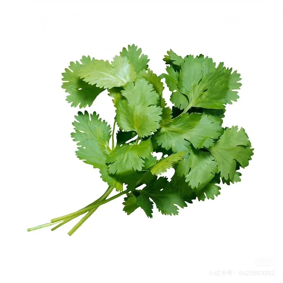 GG小野爱吃香菜