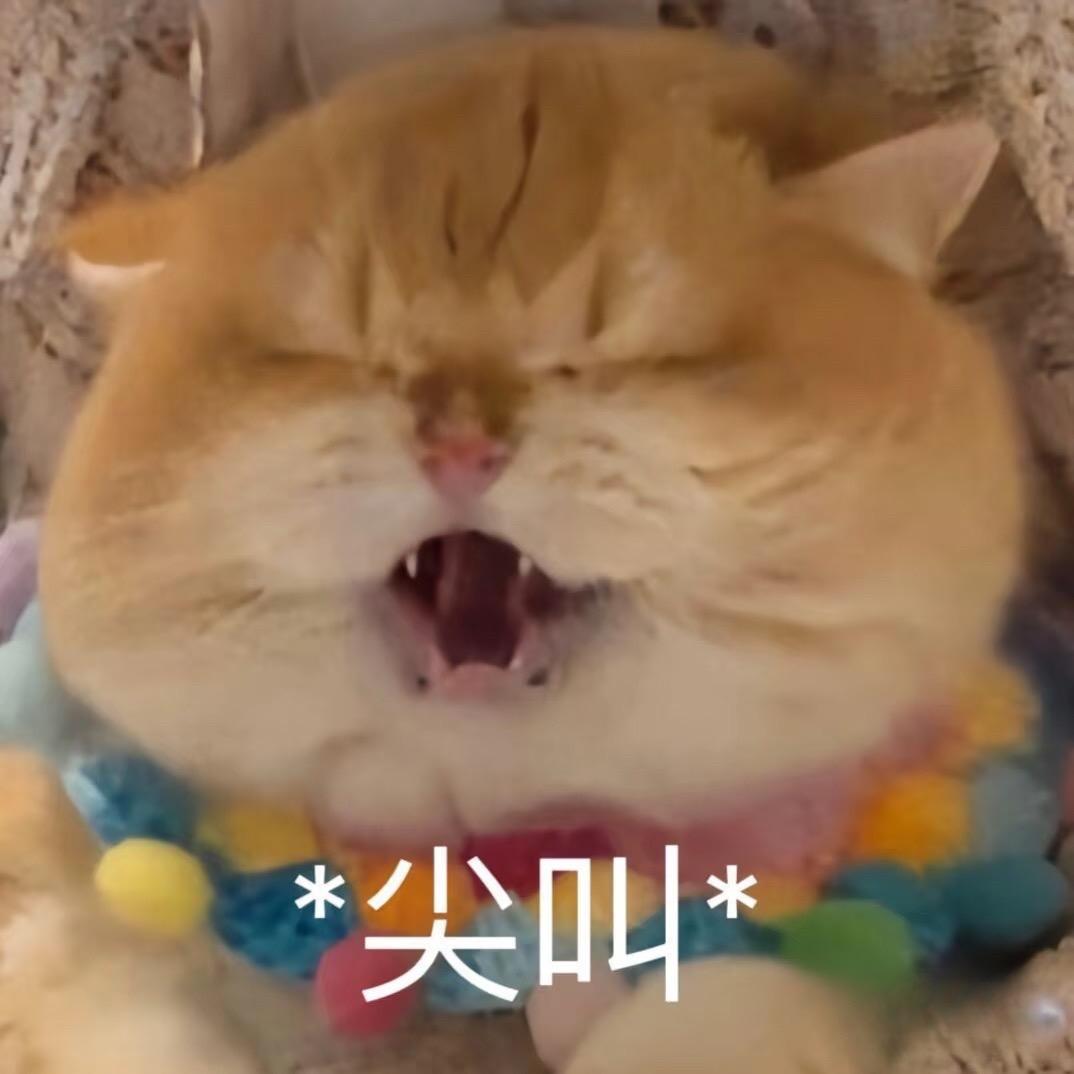 豆锅