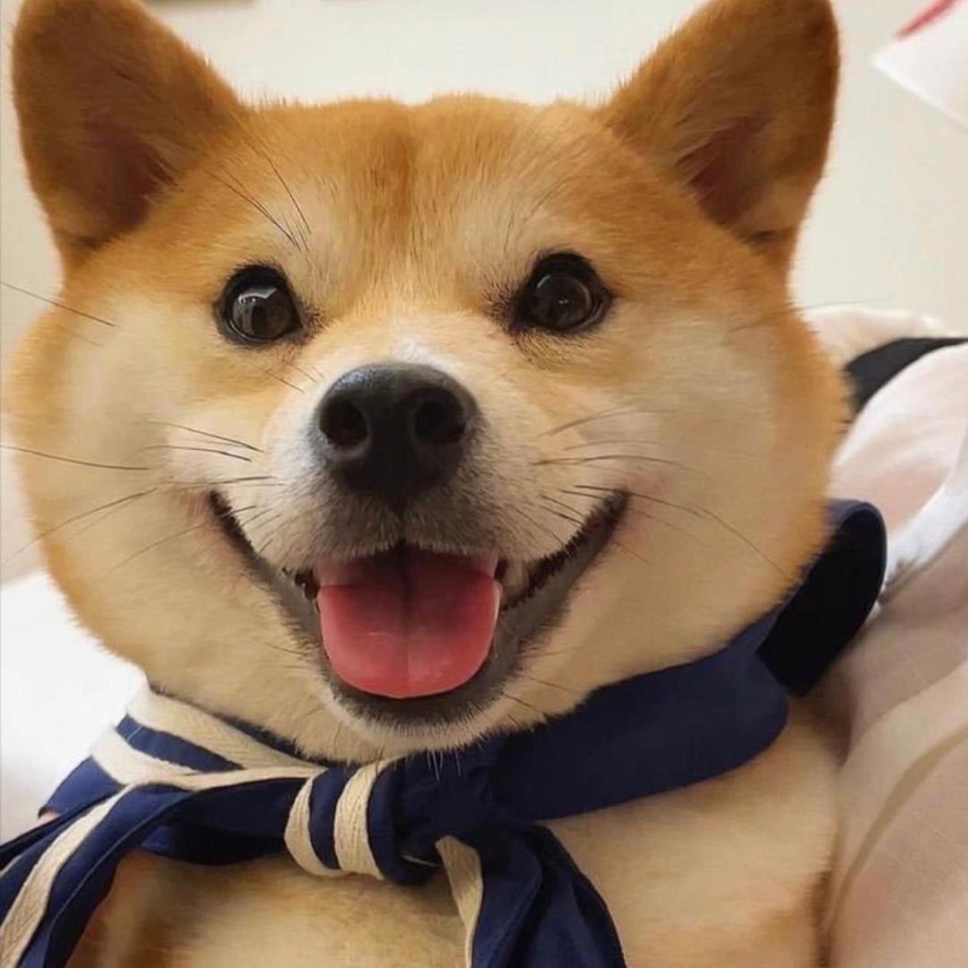 一波回忆录