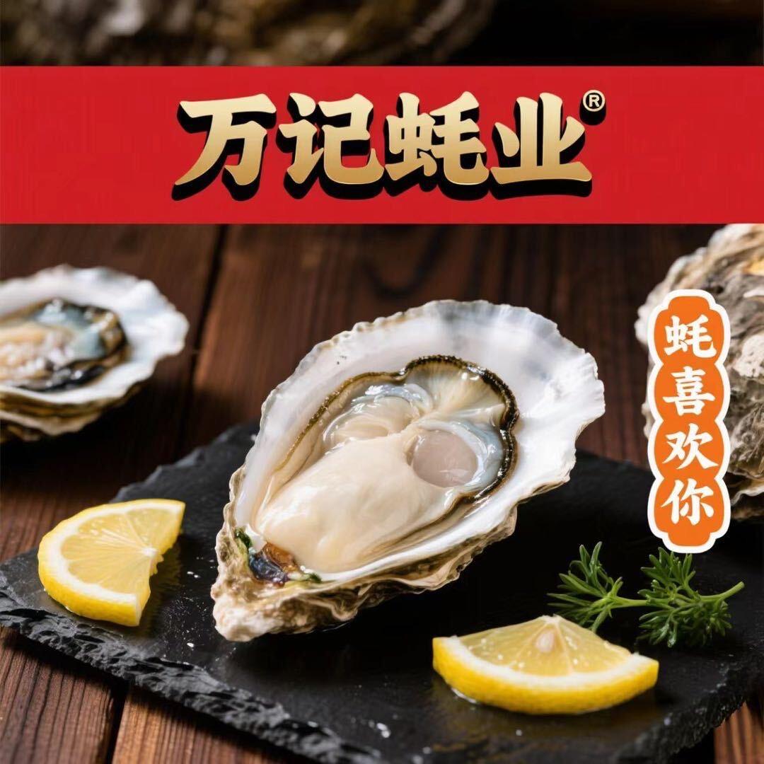 万记批发零售精品生蚝