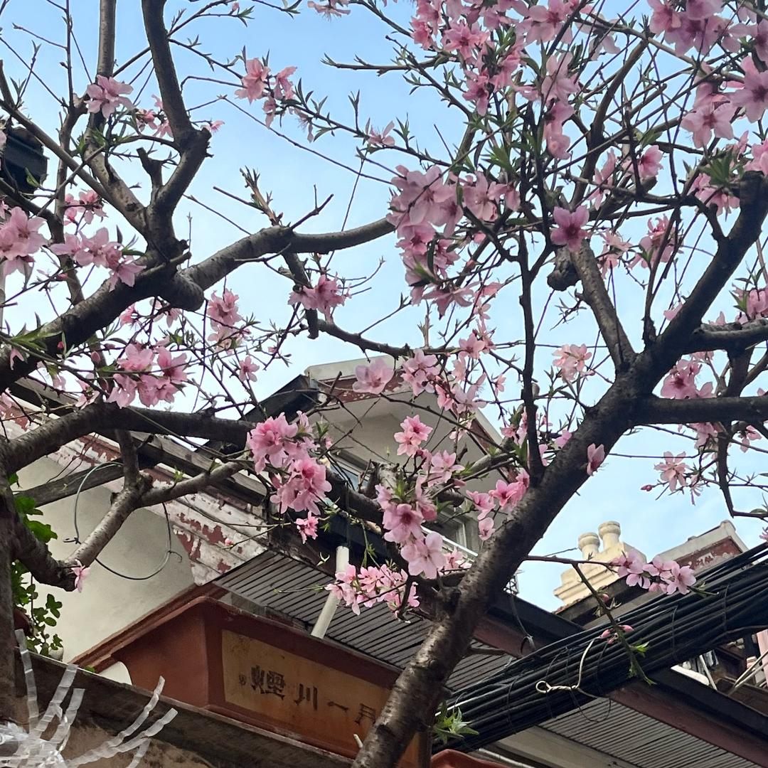 泡面大王就是我