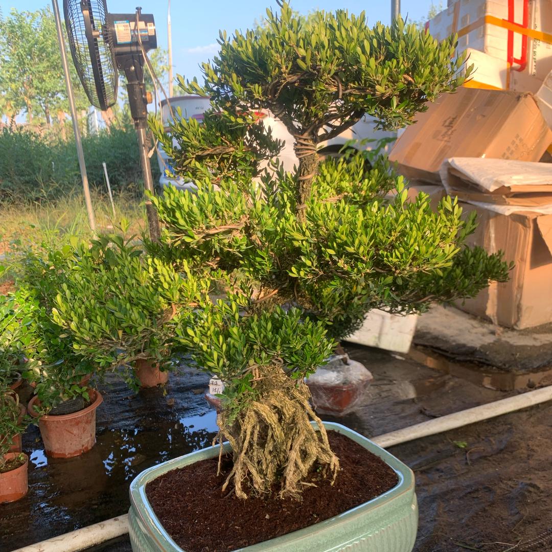 禾沅森园艺中心