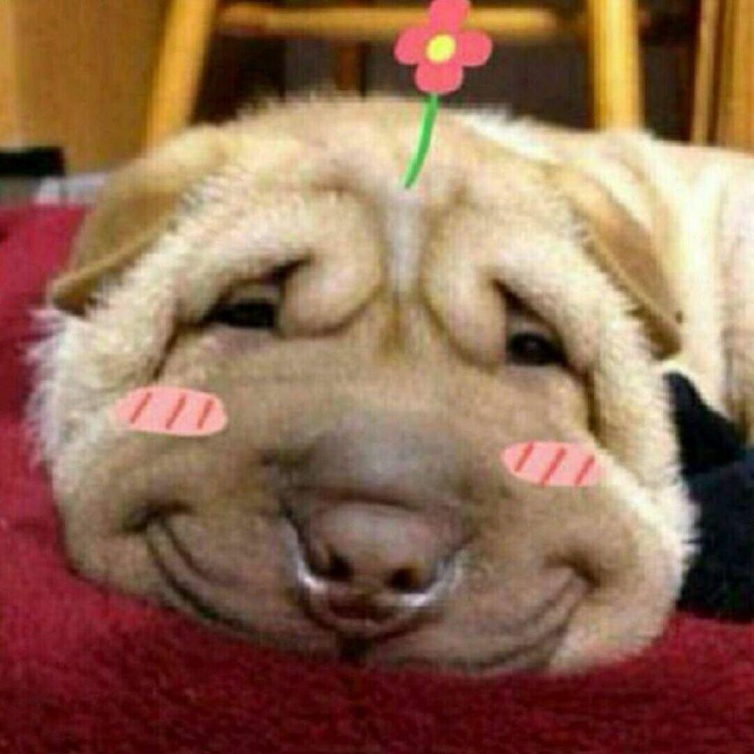 远离坏女人
