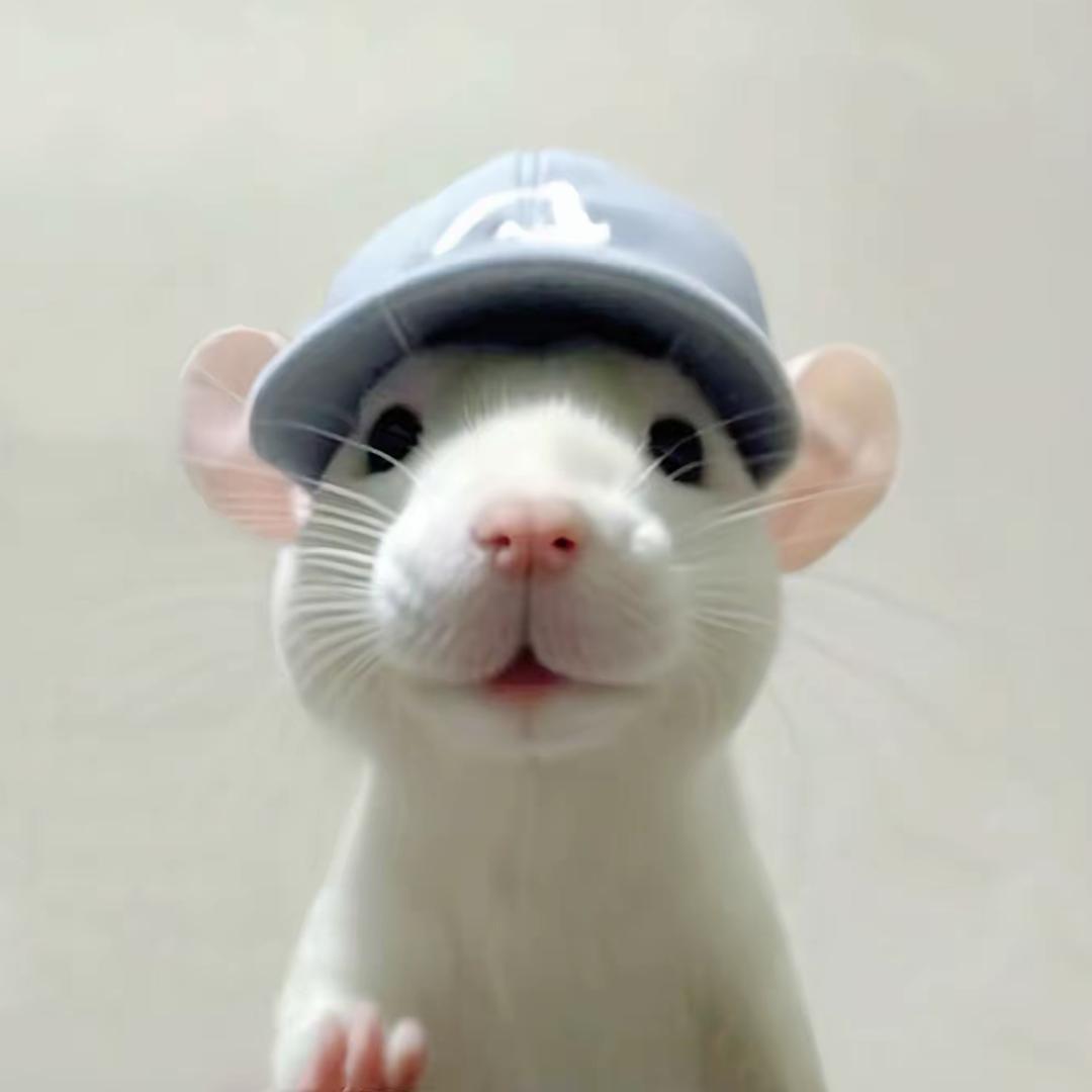 鼠角包