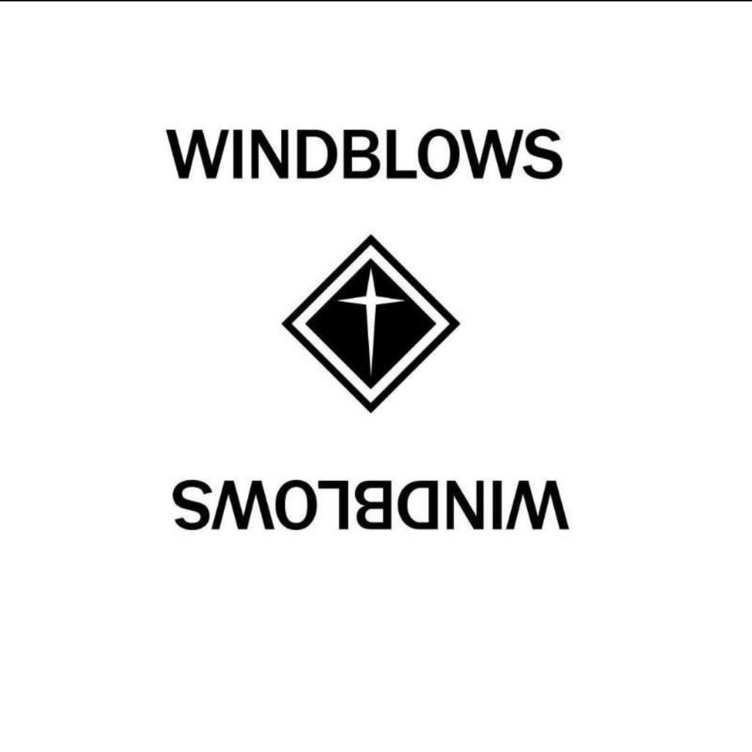 Windblows服饰店