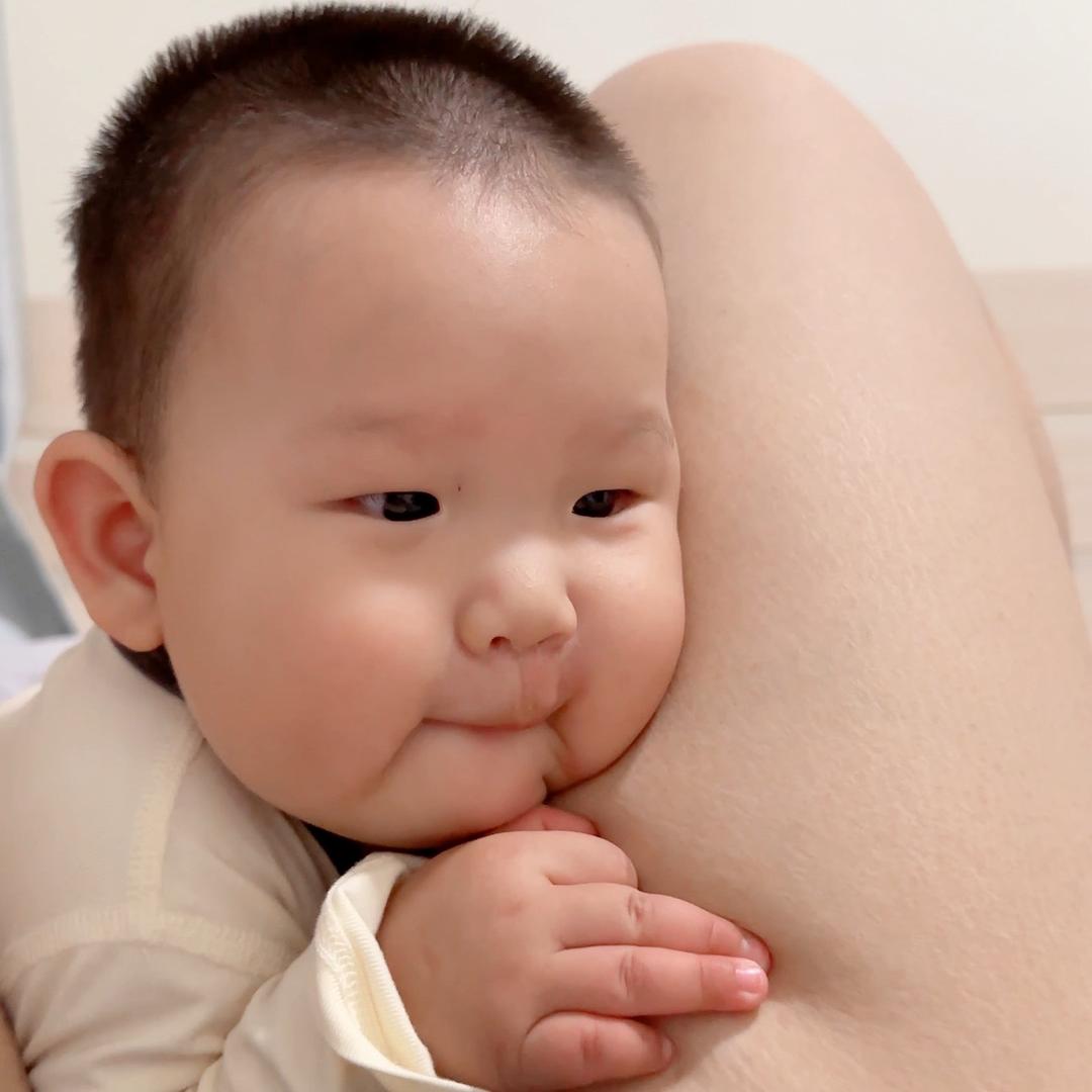 小猪🐷亨亨(带娃版