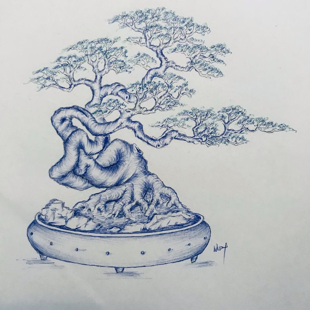 小叶——盆景