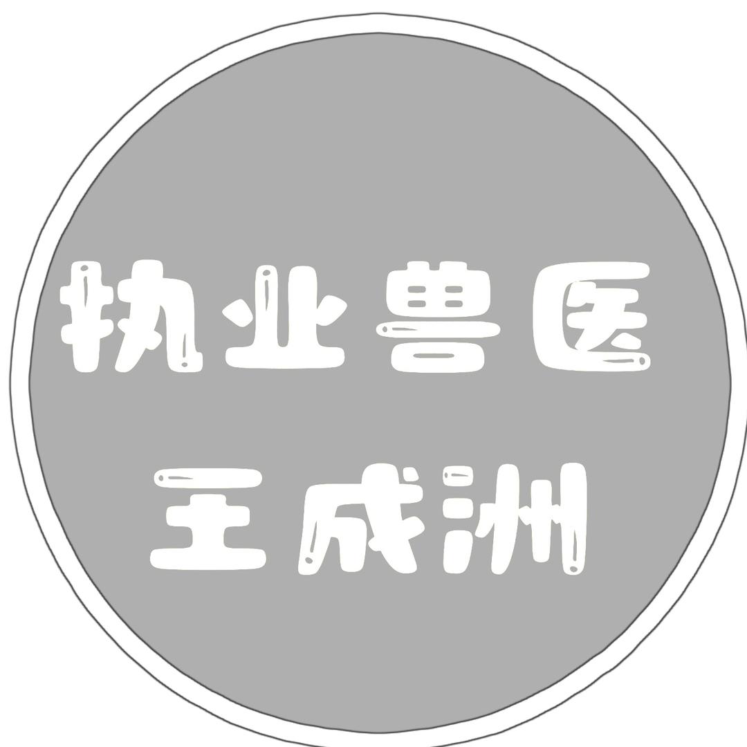 执业兽医王成洲